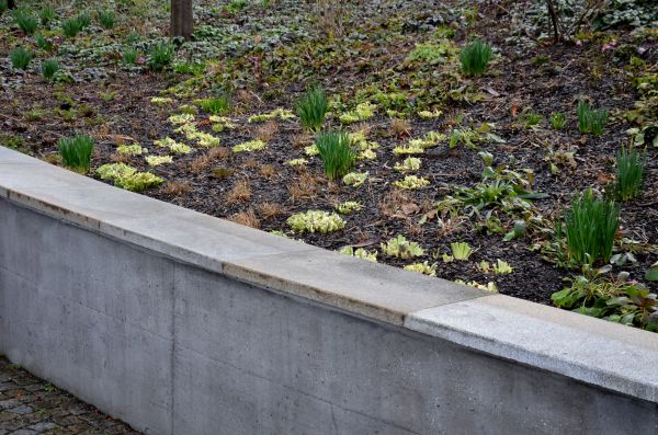 Concrete Wall Construction in West Jordan