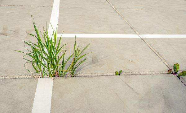 Concrete Parking Installation in West Jordan